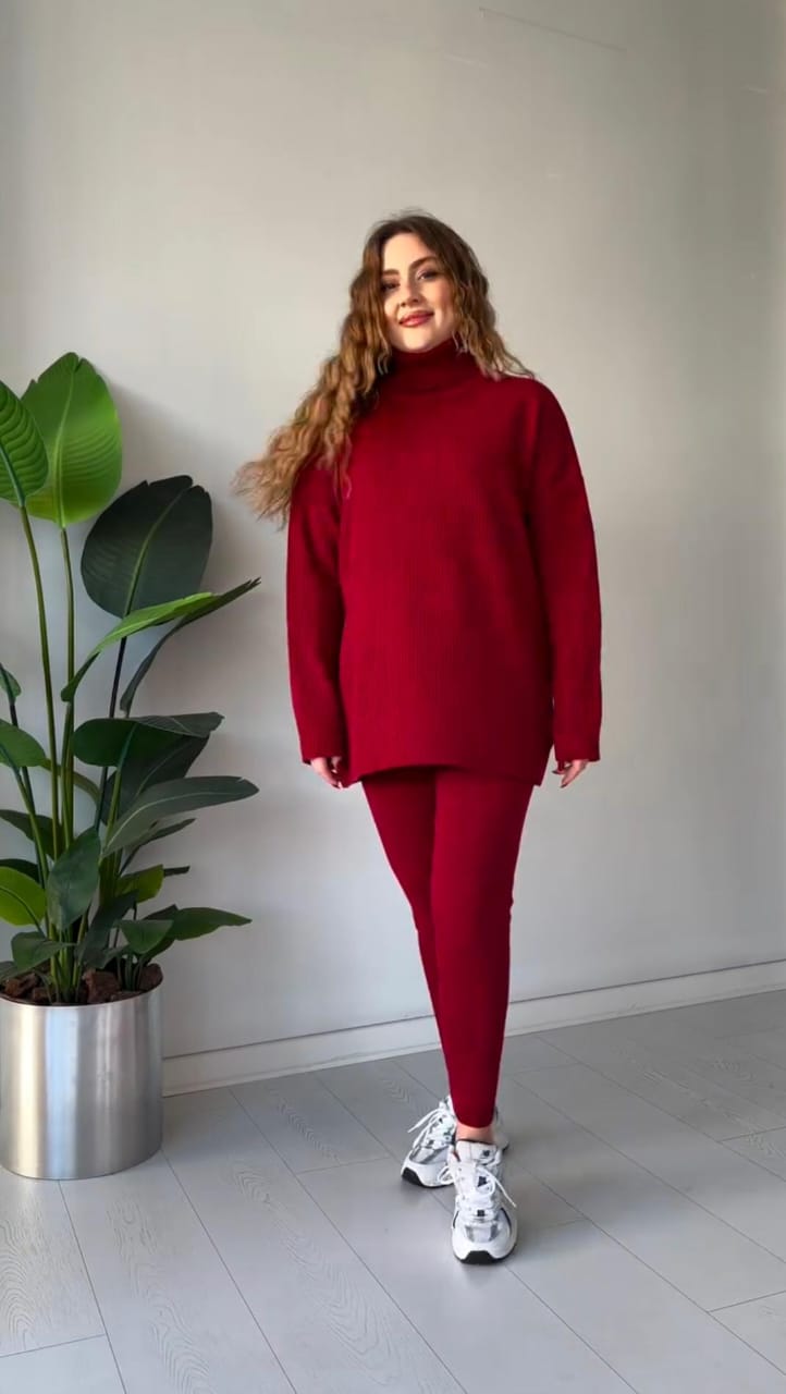 Women Winter HIGH NECK & Skinny Trouser Style Track Suit